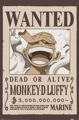 ONE PIECE WANTED LUFFY