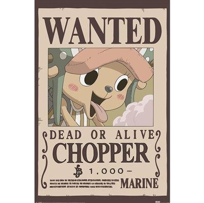 ONE PIECE CHOPPER