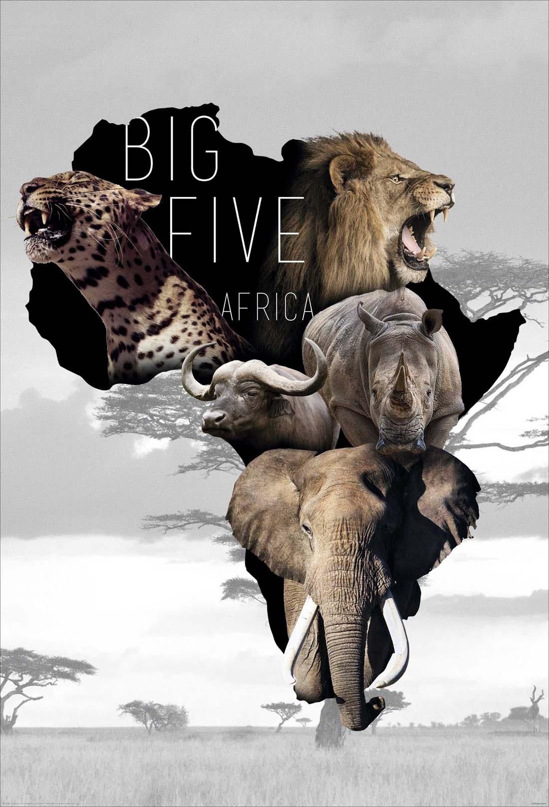 Big Five Africa