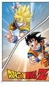 Dragon ball (SPECIAL goku )