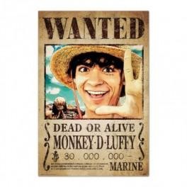 ONE PIECE wanted monkey